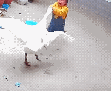 事实证明，遇到事情躲不行、哭更没用，唯一的出路 就是反击，为勇敢的小朋友点赞!