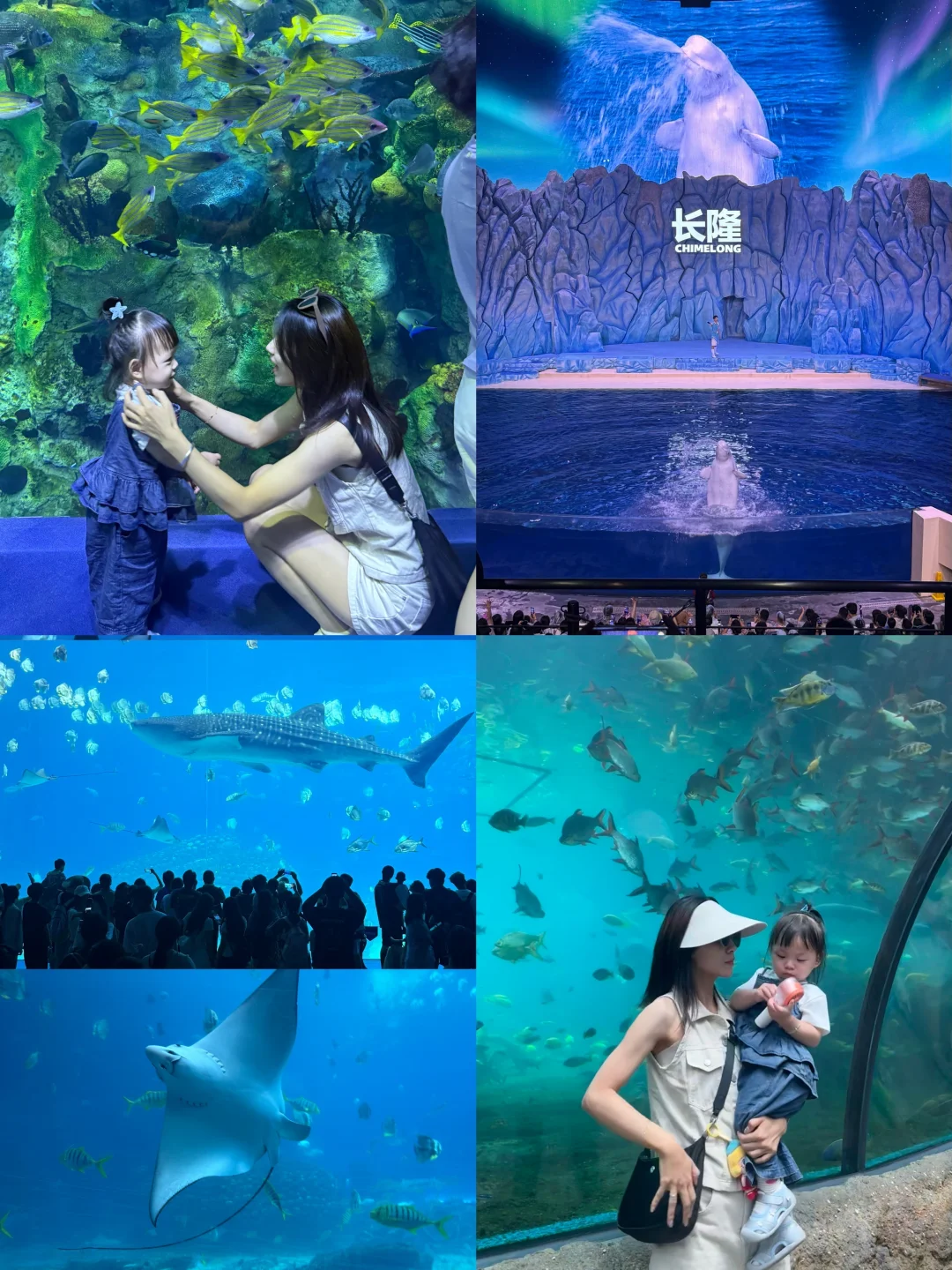 带1岁半女儿勇闯珠海长隆🐳（说点真心话……