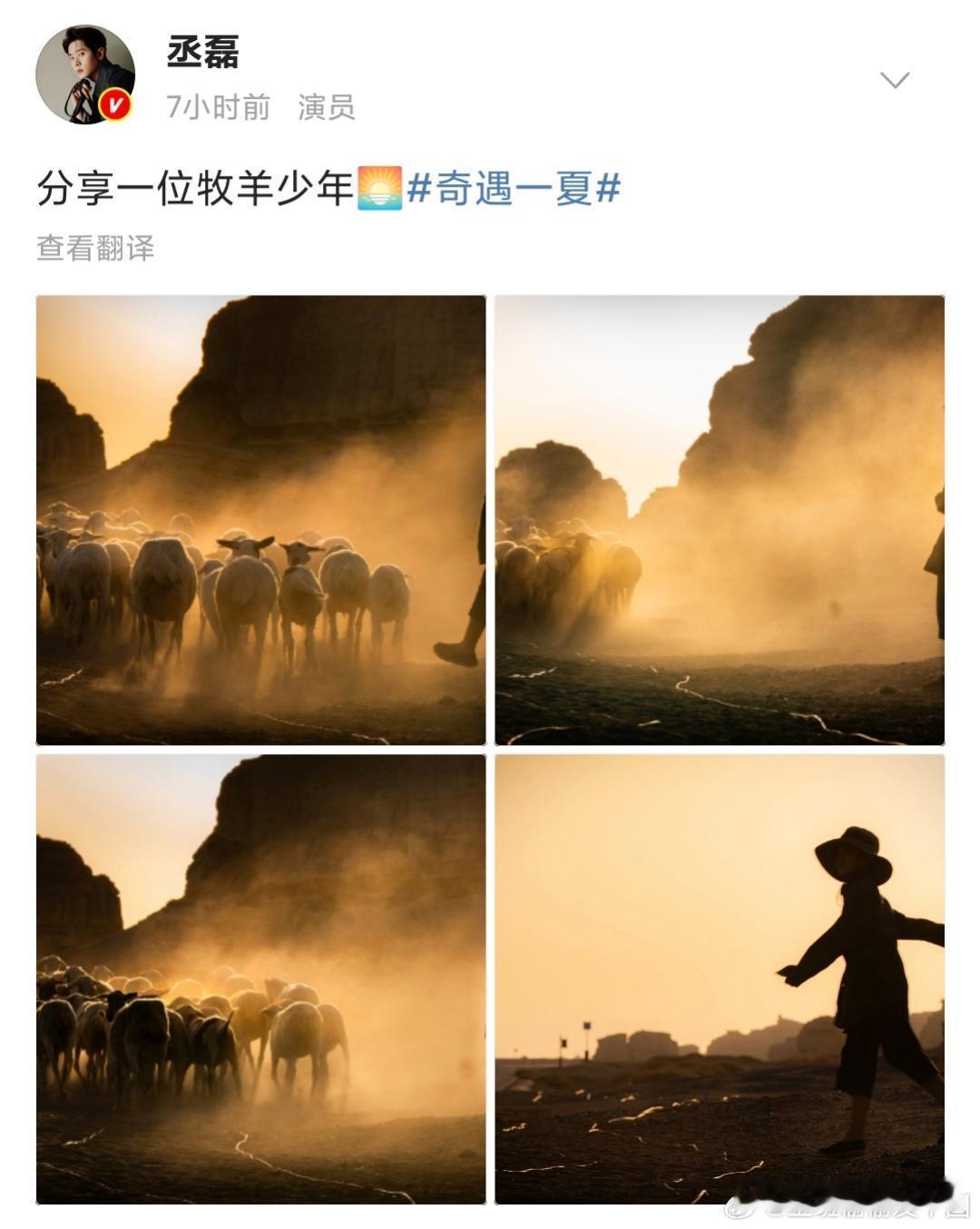 这居然是丞磊拍出来的丞磊昨天（7月21日）分享了一组亲自掌镜的“牧羊少年”主题摄