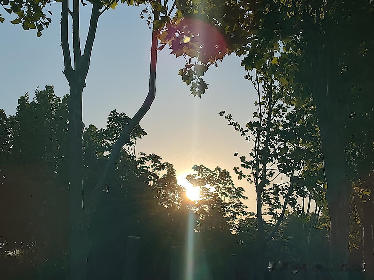 又是崭新的一天
一天好心情
阳光好
心情好
杨絮飞舞又如何