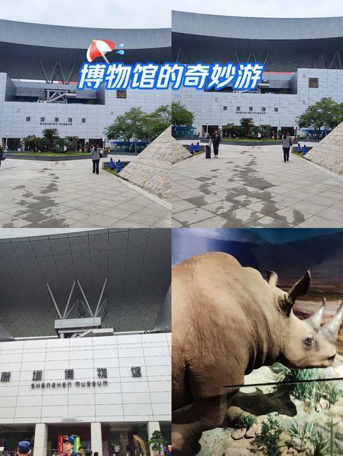 开眼了！60年前一张纸，掀翻南博8800万拍卖丑闻！
 
家人们谁懂啊！南京博物