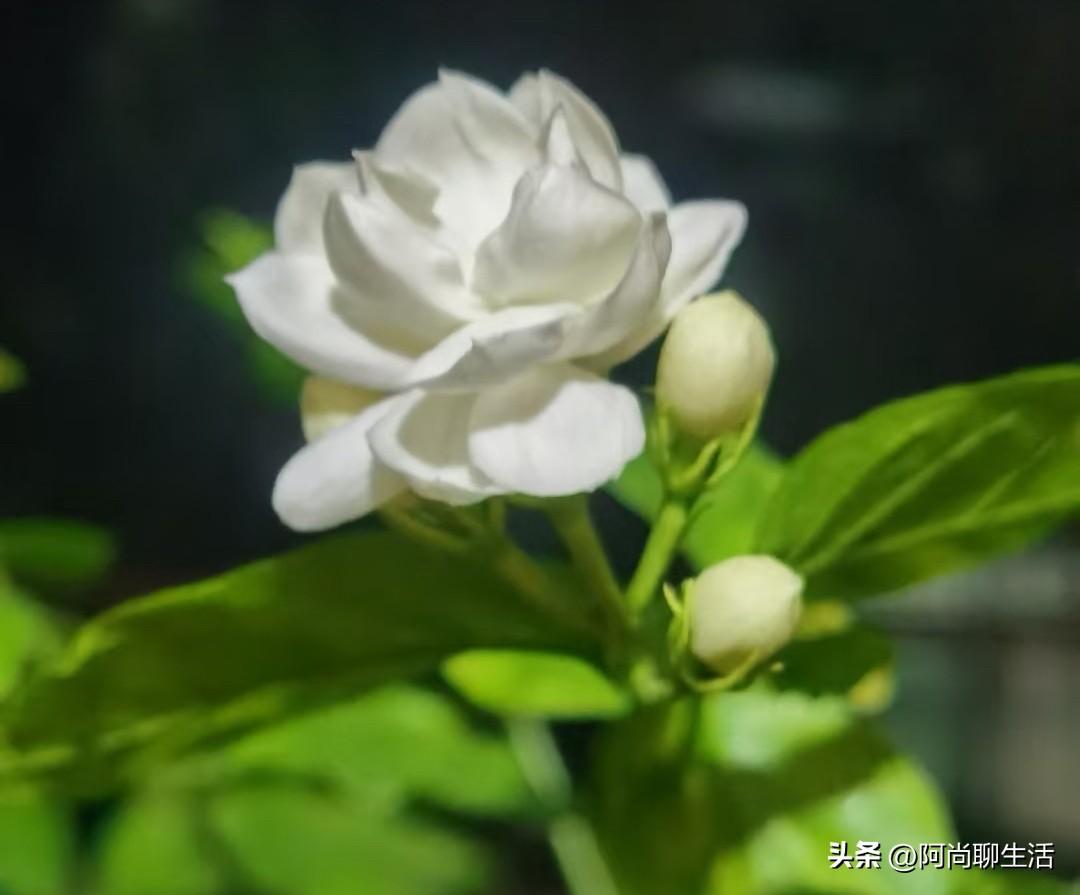 老了才发现：你越是在城里混得好的人，回村办红白事就越不容易，不信，回去办一场就知