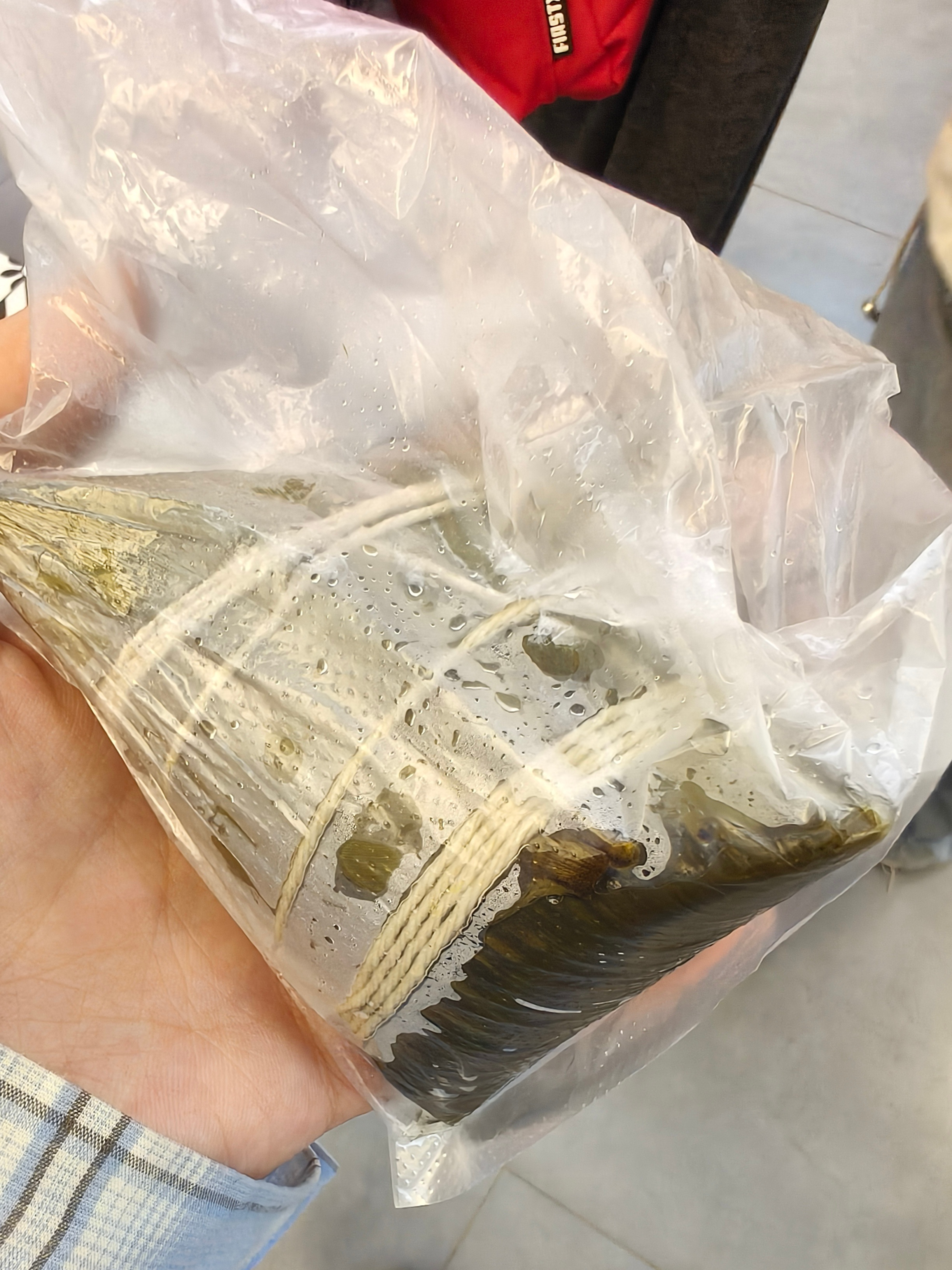 临近端午就喜欢薅学校举行的送粽子活动