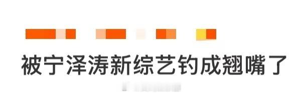 被宁泽涛新综艺钓成翘嘴了 被宁泽涛新综艺《菜鸟与大鱼》钓成翘嘴了！从泳池飞鱼秒变