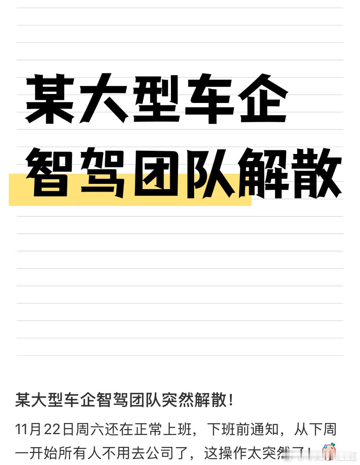 大家怎么看？以后直接合作乾崑、momenta ､地平线就行了  