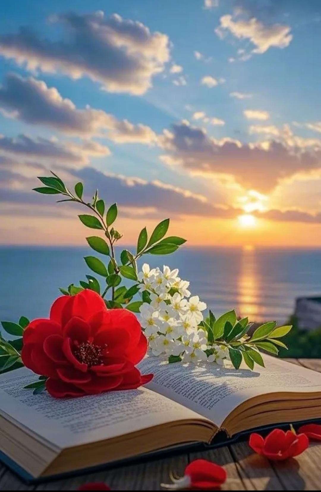 生活中，依靠自己还是依靠别人，这真是个难题。靠自己，那是一场孤独的修行。像马斯克