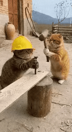 矛盾纠纷[捂脸]邻里纠纷 矛盾 化解矛盾冲突 调解纠纷 小区矛盾纠纷 纠纷解决方