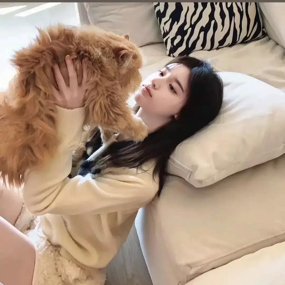 暖心的猫咪抱抱，与毛茸茸的宠物一起享受慵懒的午后时光猫咪萌萌哒 软软小猫咪 暖心