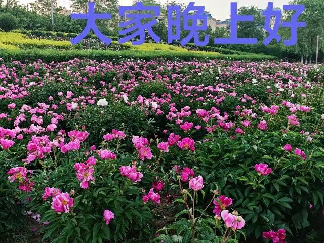 我爱钱，但不被钱牵着走。我爱人，可绝不卑微低头。我的真心十分贵重，从不随便浪费。