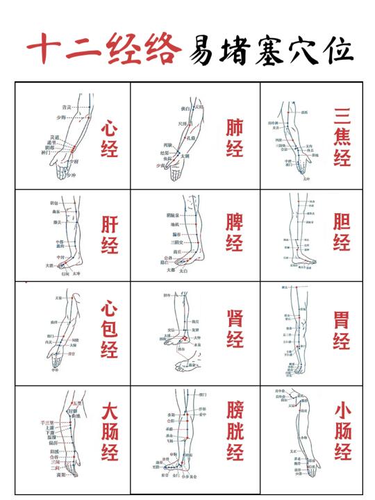 👉梳通经络✅十二经络易堵穴位