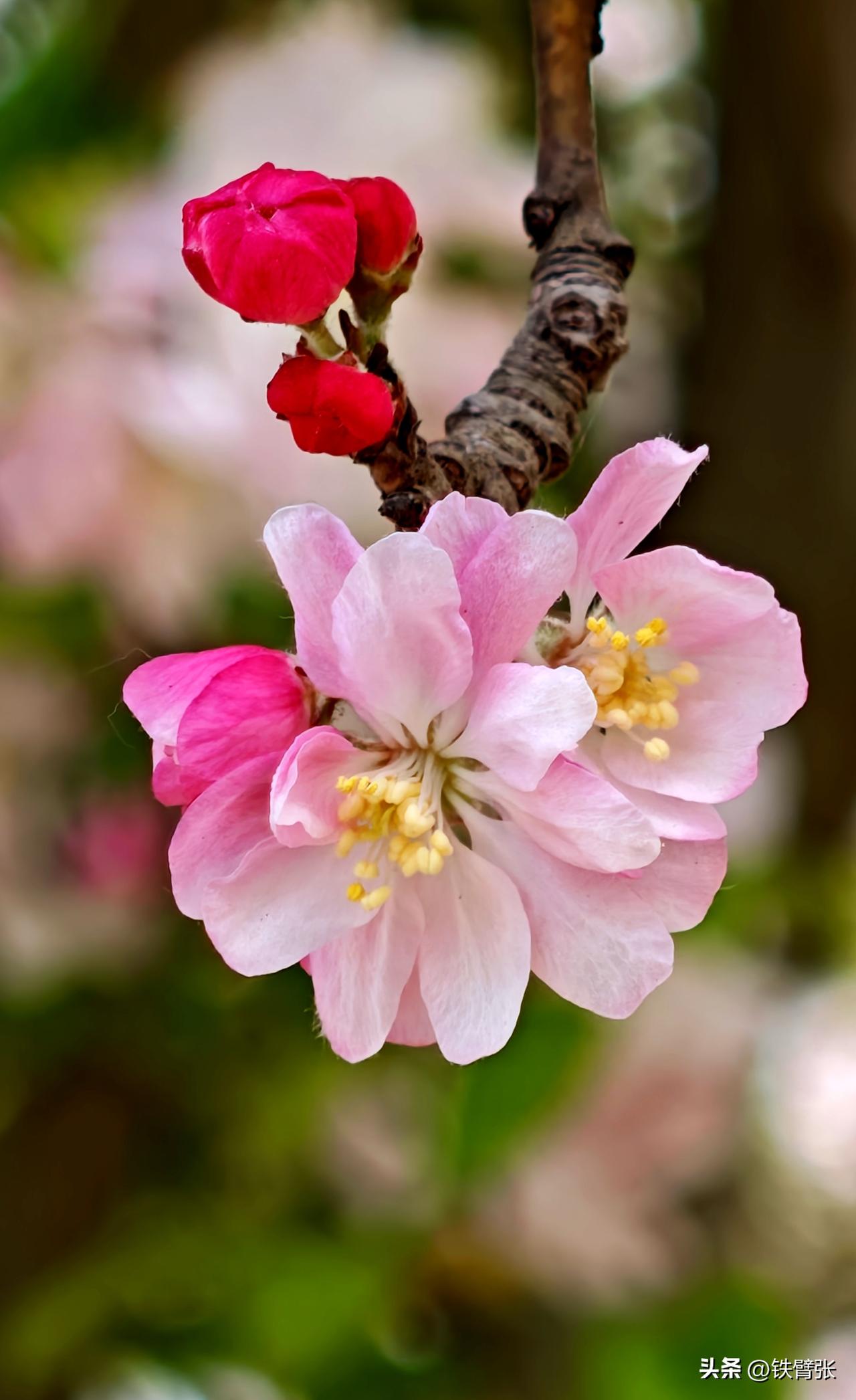 逝者安息，生者安康！
珍惜眼前好时光，幸福生活万年长！
清明节安康！