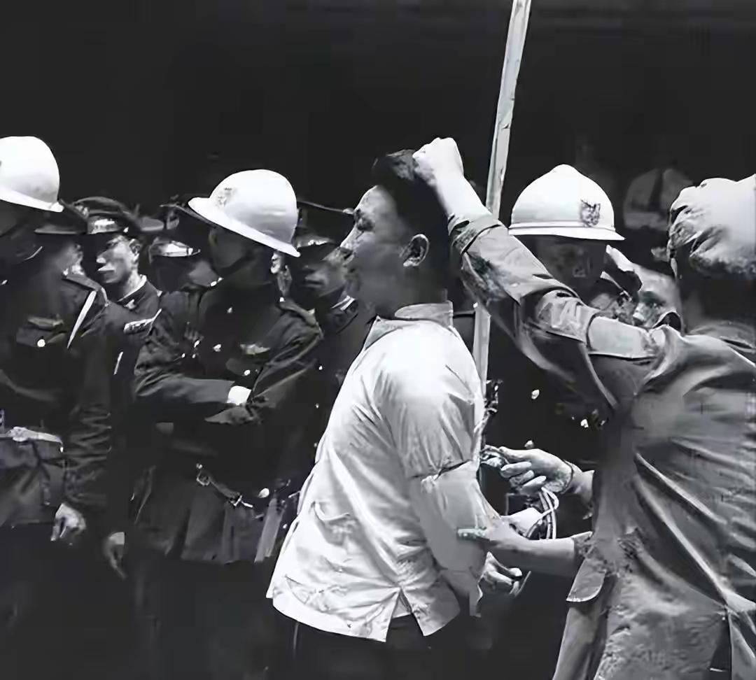 陈宝仓牺牲，遗体腐烂无人敢领，17岁女学生跳入大海冒死偷渡运回…
 
这位被国民