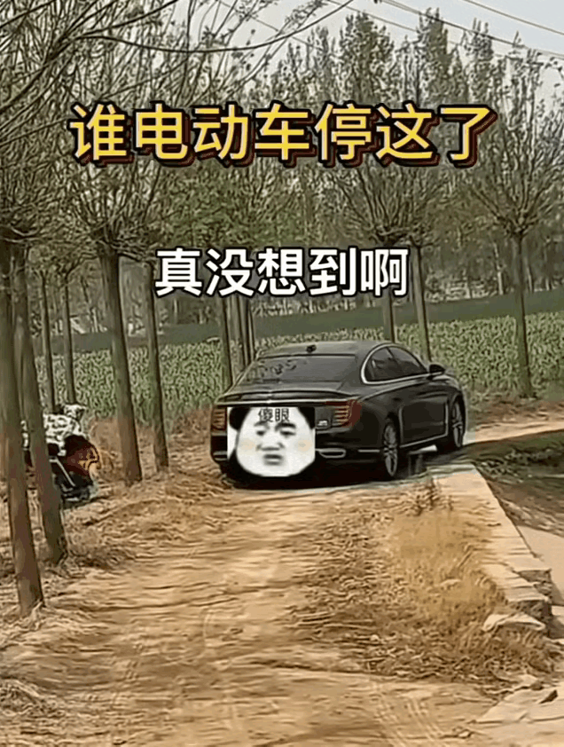 玩归玩闹归闹停车别挡道，你若挡住我的道我就给你拍个照！