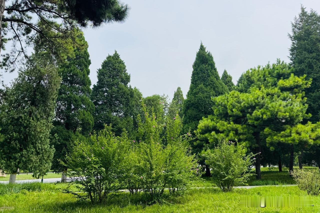 明日杰锋动力申购计划

杰锋动力发行代码：9200269；
发行价：30.70元