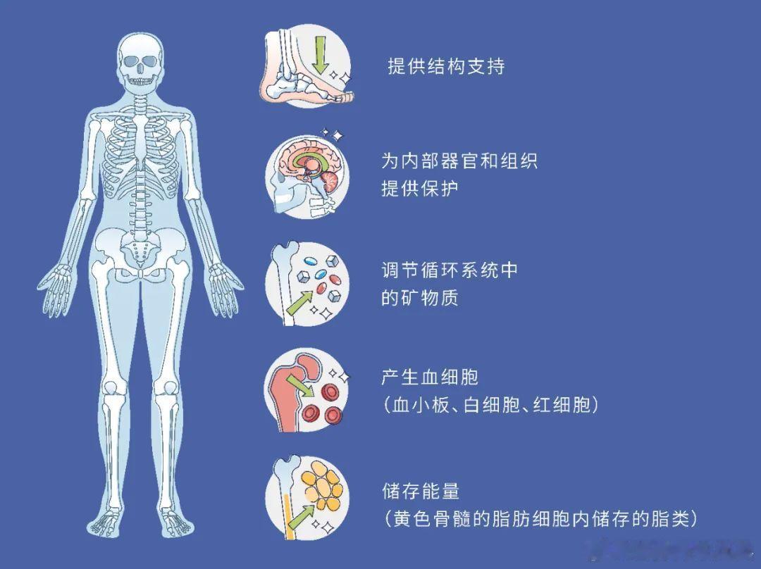沙利文新投资大会  如何看待如今医疗技术的变革和快速发展的？如今医疗技术的变革和
