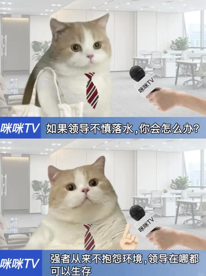这采访，没毛病[赞][赞]