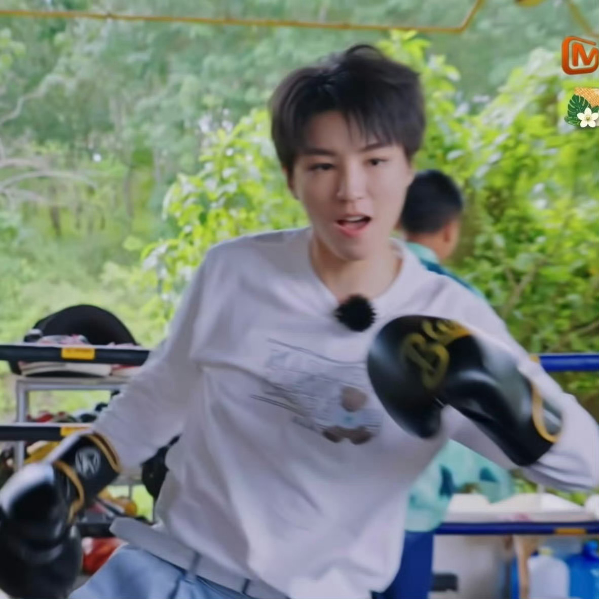 王俊凯学习打泰拳王俊凯眼中的自己VS实际的王俊凯哇 