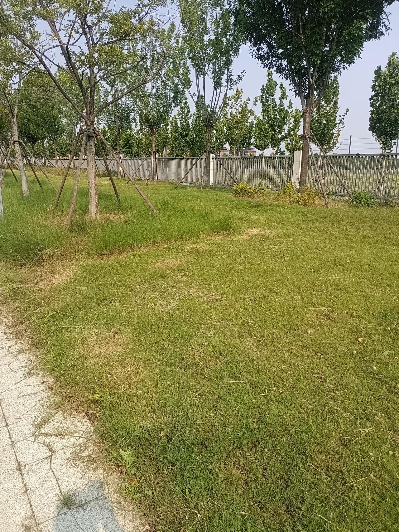 历史学教授说：“一个家族，只要出现一个大人物，这个家族就会穷八辈。望子成龙，望女
