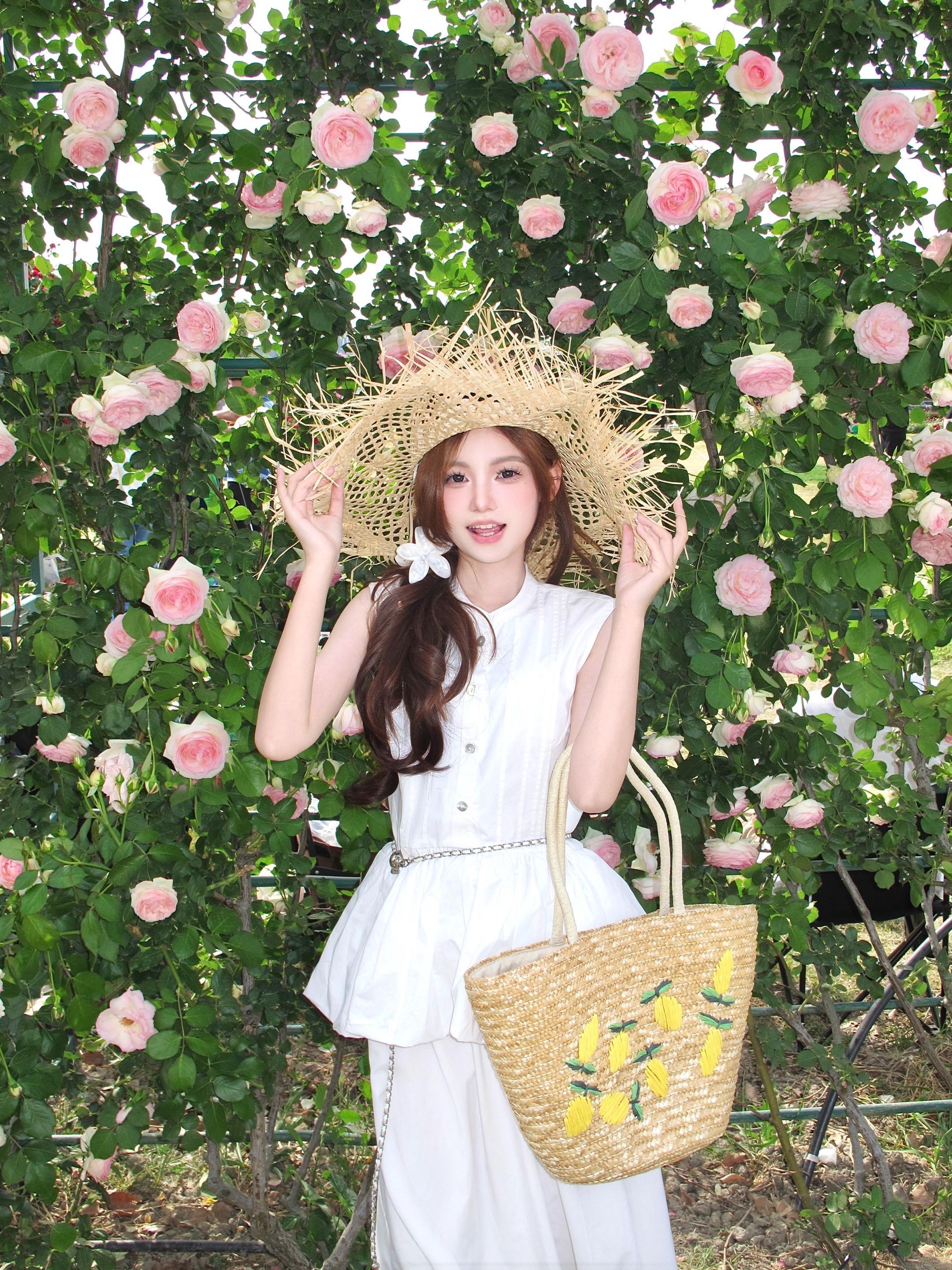 五月像一张白纸 夏天重新开始。