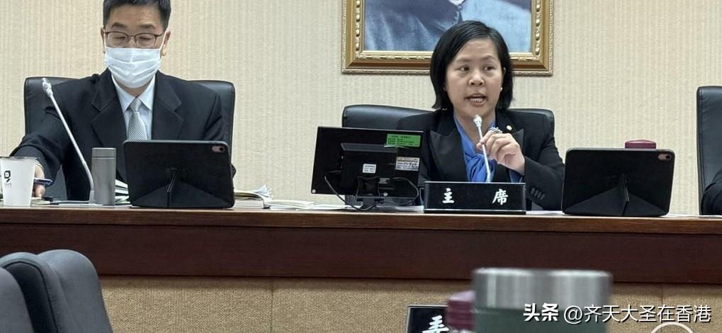 廖先翔放水？李贞秀突成「代理主席」， 绿委抗议会议一度中断！

台湾省立法机构内