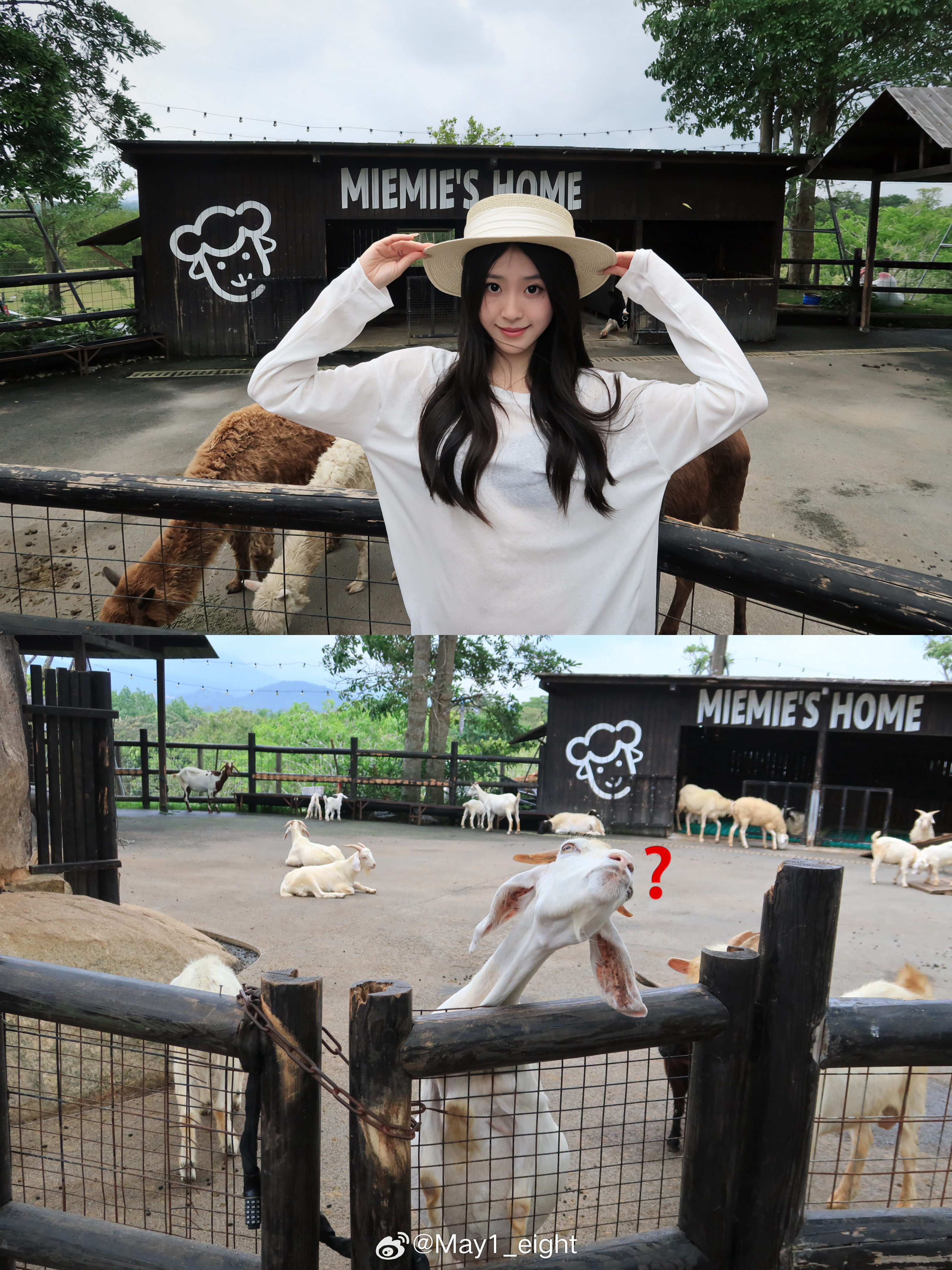 牛牛🐮羊羊🐑Day‘s…🌤️🚜🧑🌾 
