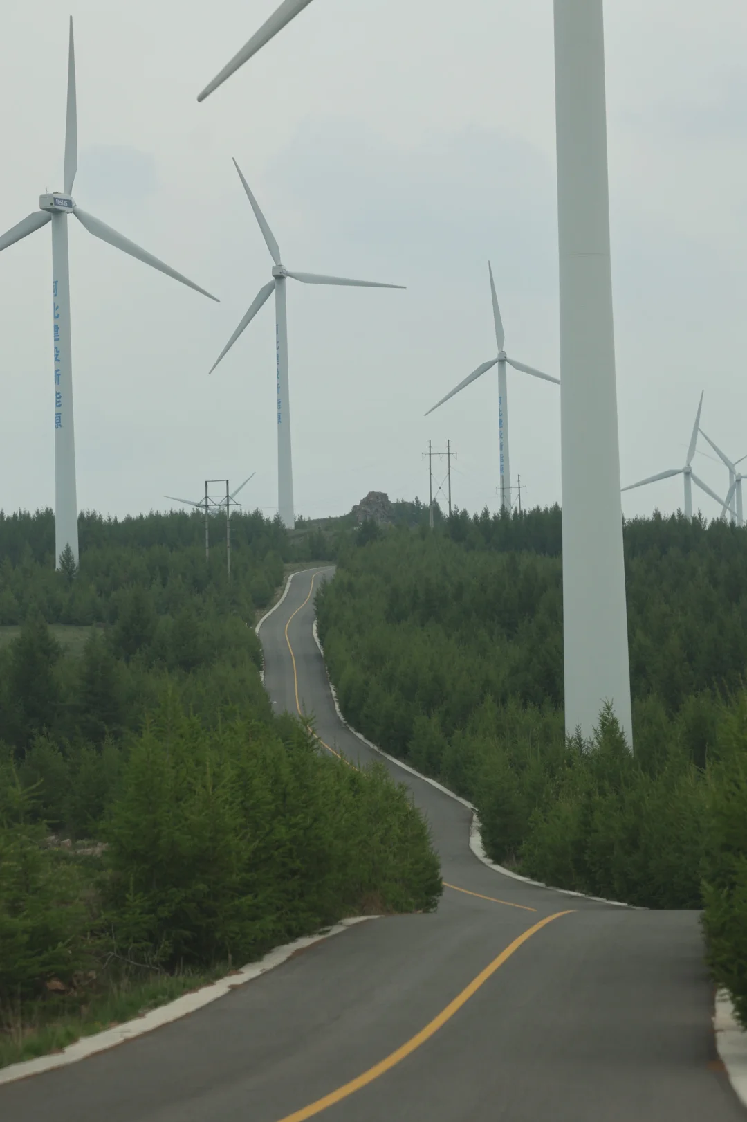 端午刚来了草原天路，劝退，实景原图