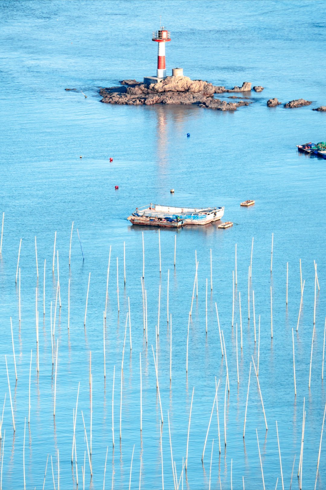 *在路上*霞浦花竹黄昏...确实比东壁层次更丰富，只是不可能有日落...问大新，