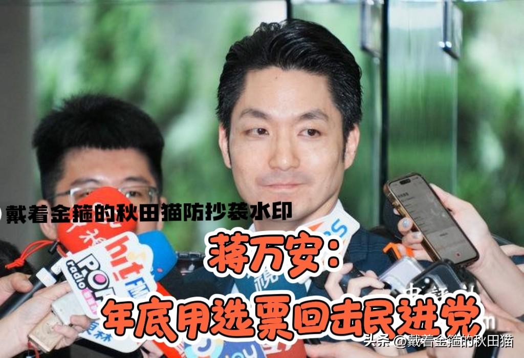 直击民进党软肋！
面对绿当局对饶庆铃的打压，蒋万安喊话“年底用选票教训民进党”。