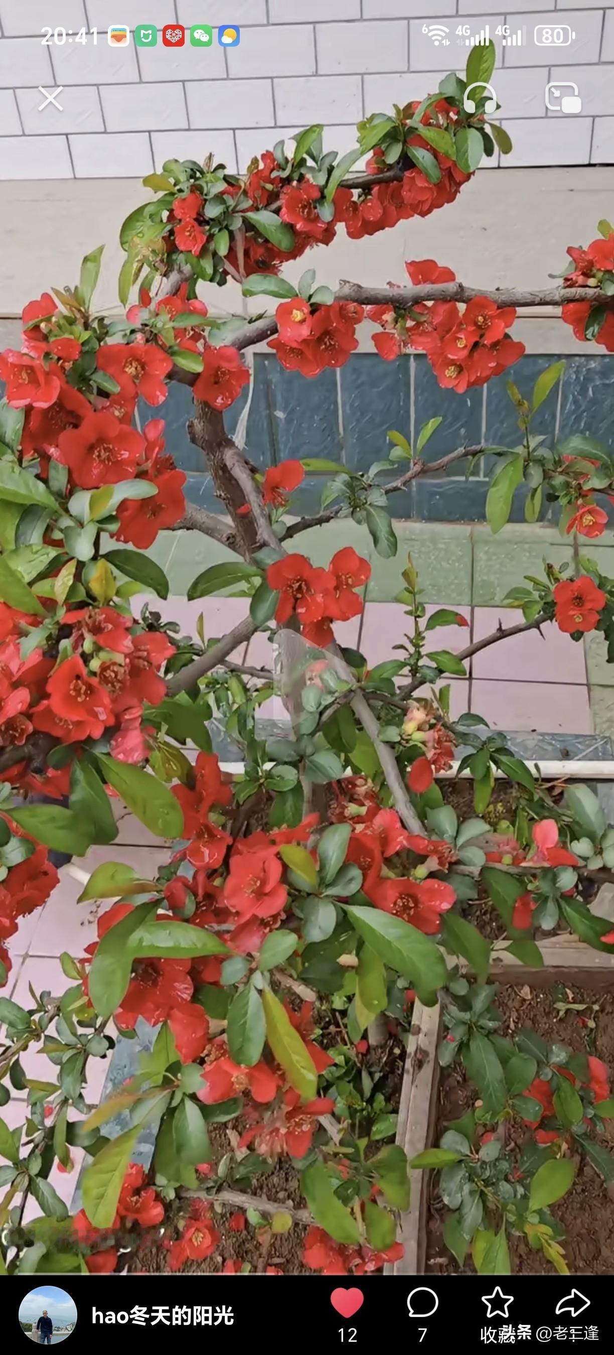 大陆推动两岸交流合作对台湾经济有何影响台湾经济的命脉究竟捏在谁手里？答案不言而喻