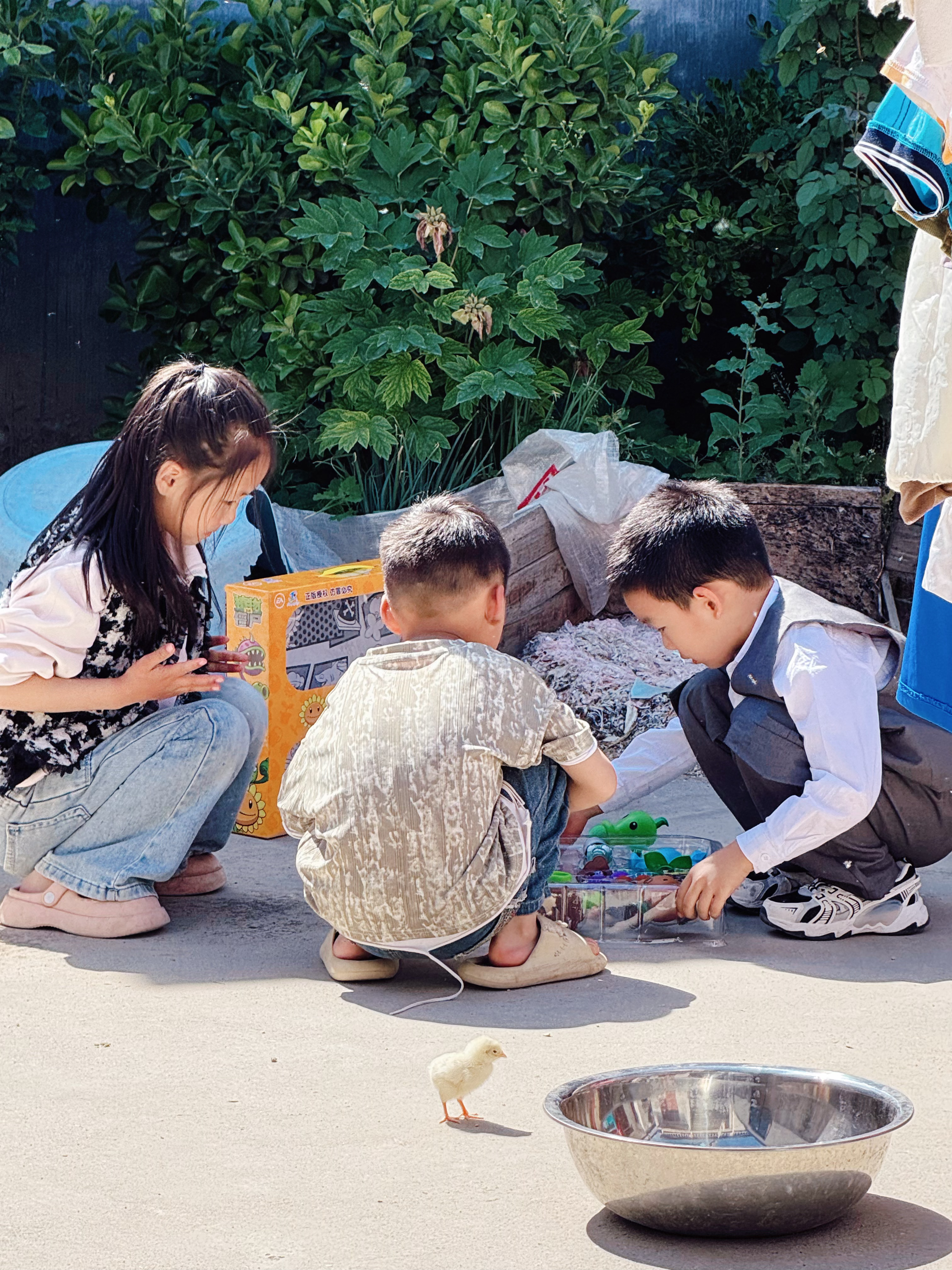 你的儿时玩伴，现在在哪里？[馋嘴]我小时候特别爱去邻居家玩，他们家有一个小叔叔和