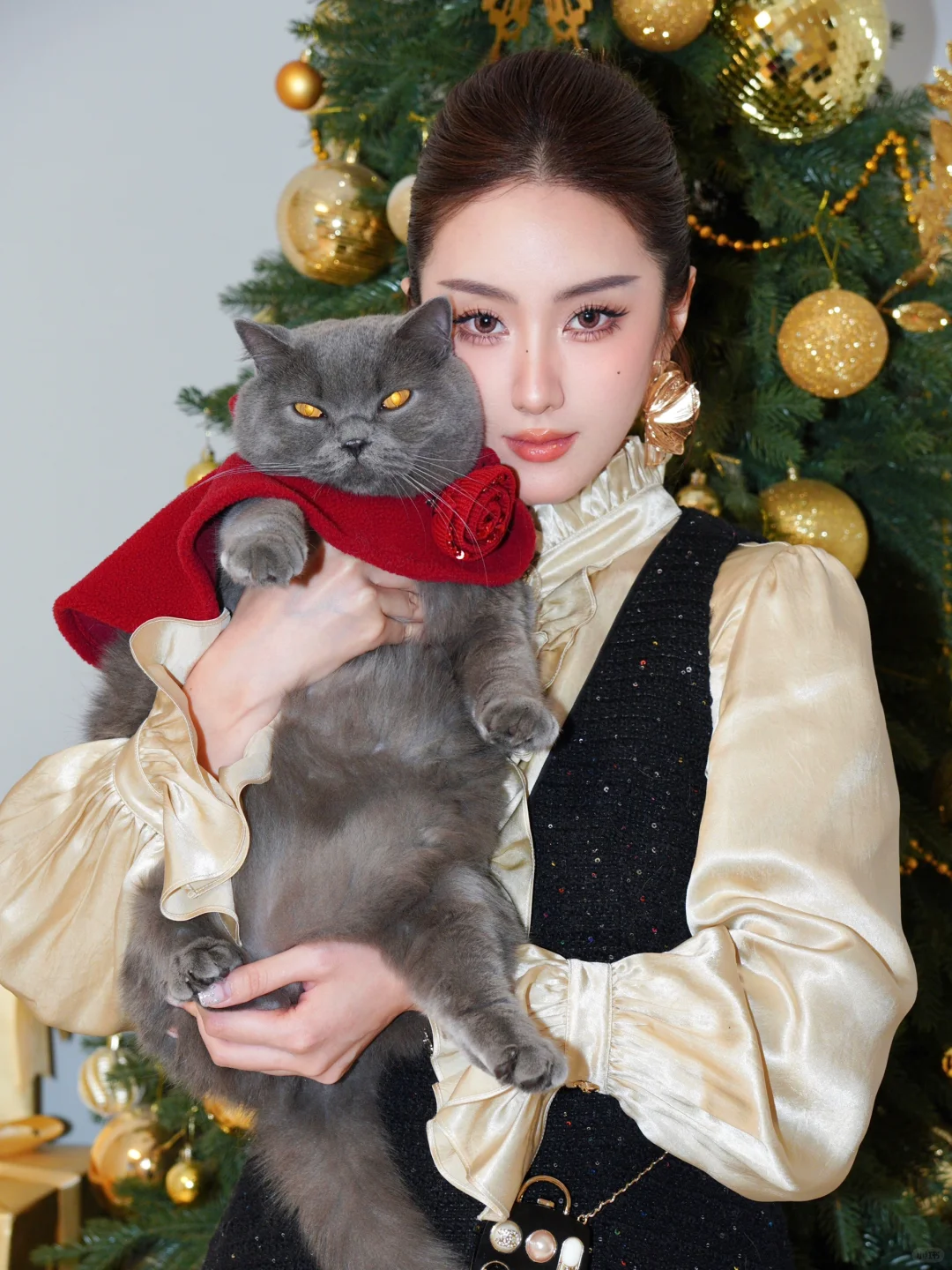 Jessy和她的英国佬🐈‍