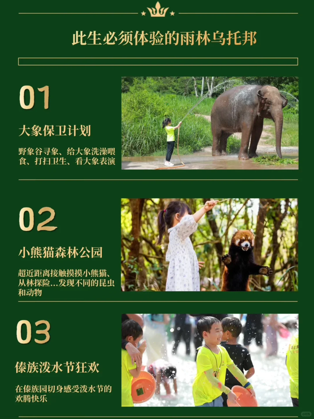 假期去哪❓西双版纳遛娃详细攻略抄作业‼️
