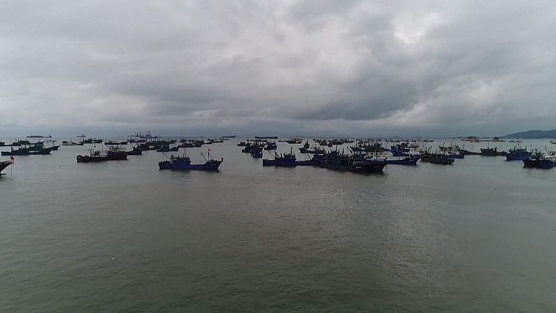 台风北海豚达南海:
海防将对南海船只进行管制