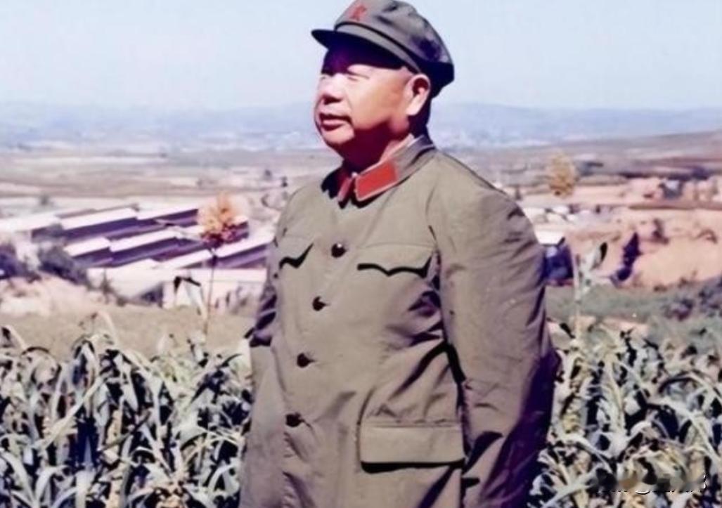 1972年盛夏，中央一纸调令传至沈阳军区：开国上将杨勇调任沈阳军区副司令员。消息