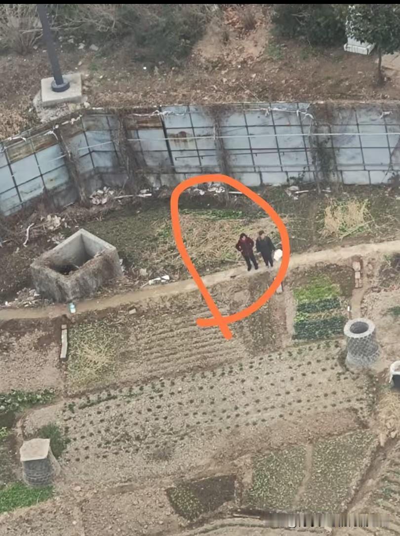 今天是金碧物业走后的第70天。

今天有业主发现，我们小区变成周围小区的菜地了。