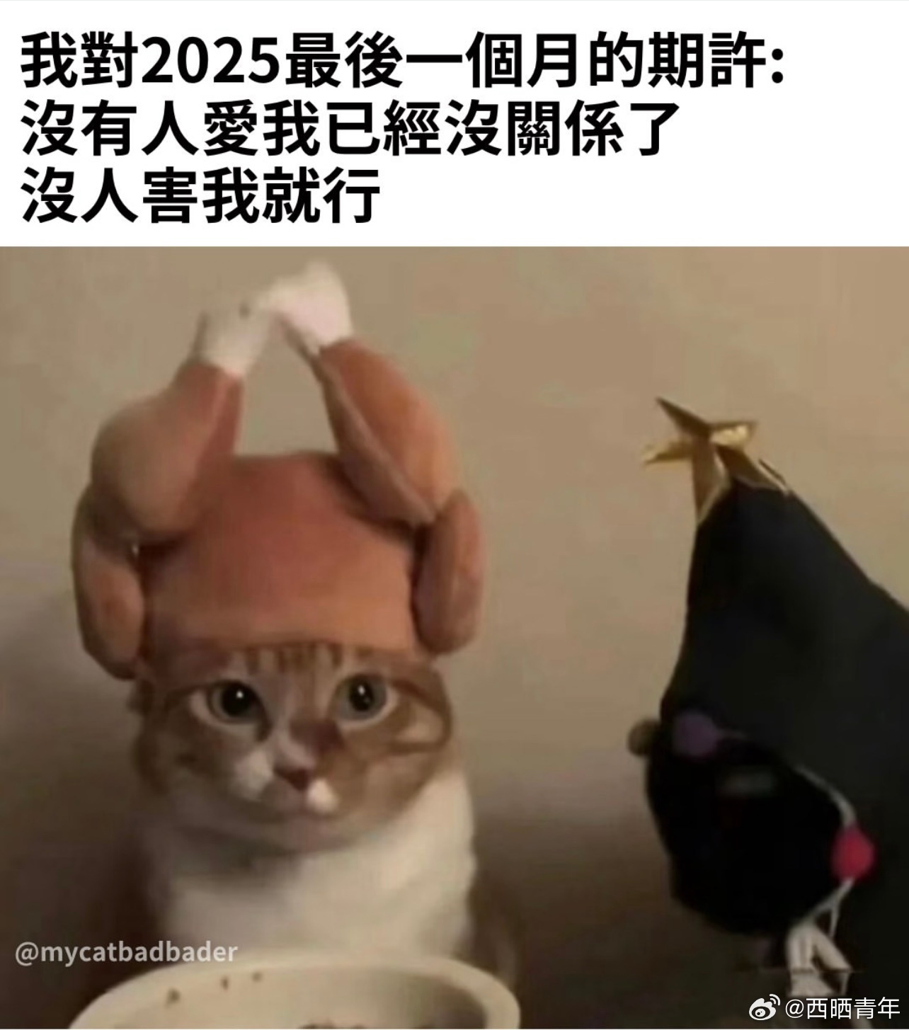 对2025年最后一个月的期许很简单🙏 