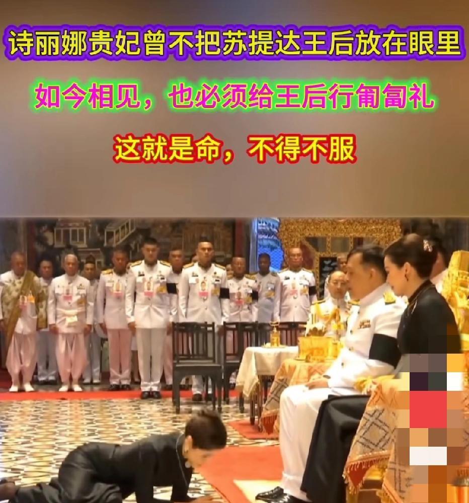 诗妮娜近日再度出现在宫廷场合，当场匍匐在国王前，先礼后拜，动作一板一眼，引得场内