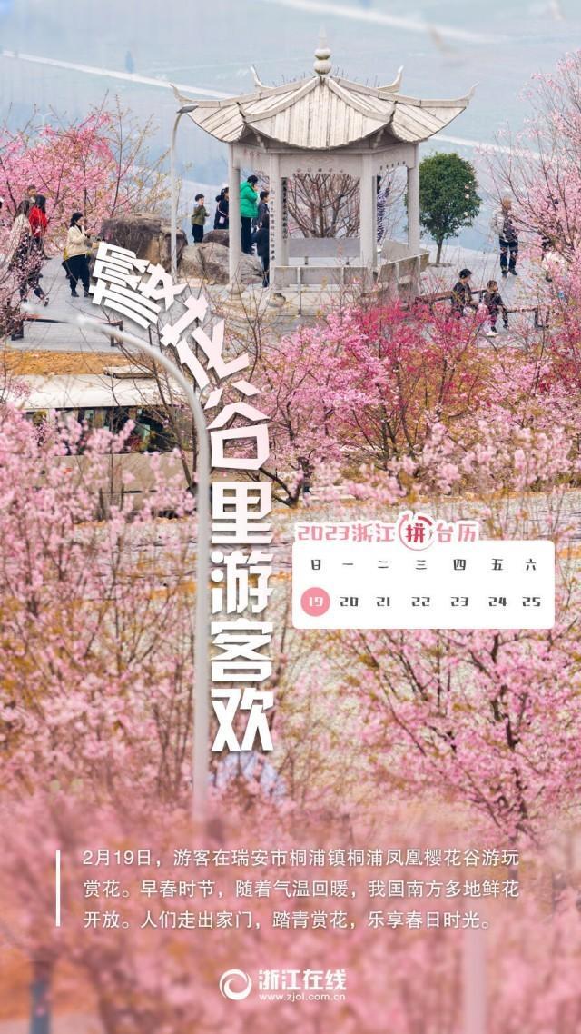 “花卉+旅游+文化”添彩“美丽经济”，让乡村振兴“开”出新活力

当春风拂过田野