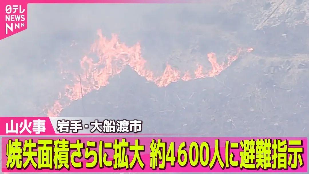 日本38年来最大山火肆虐，已连烧7天，烧毁积超2600公顷，4000多人紧急避难