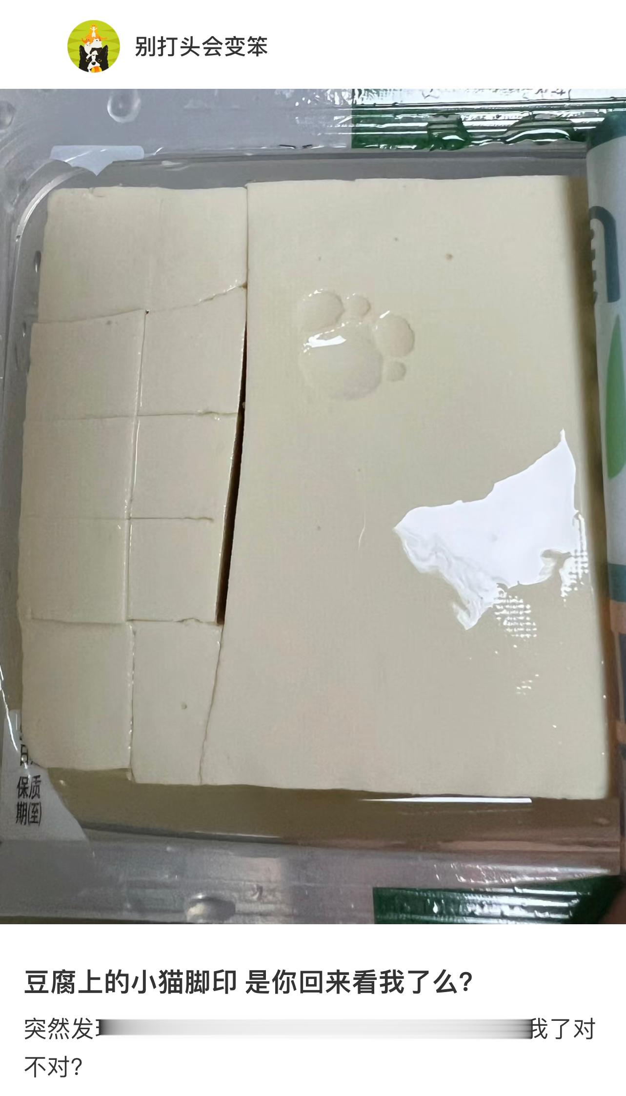 豆腐上的小猫脚印小猫太轻了，只有踩在豆腐上妈妈才知道它回来了[抱一抱] ​​​