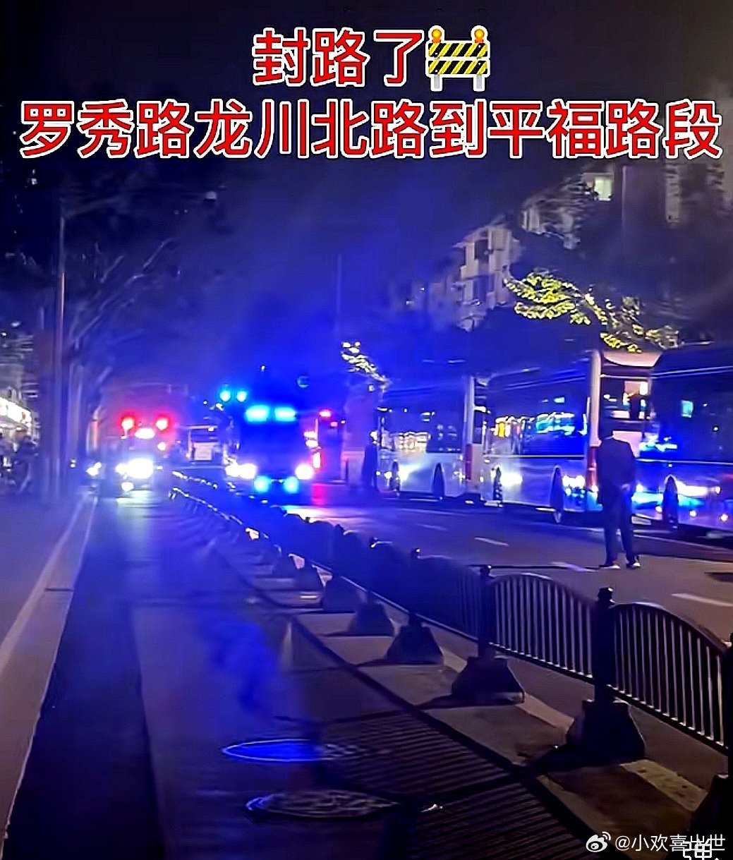中国大陆上海市罗秀新村封路了。吊车撞电线，电线砸到56路上了
