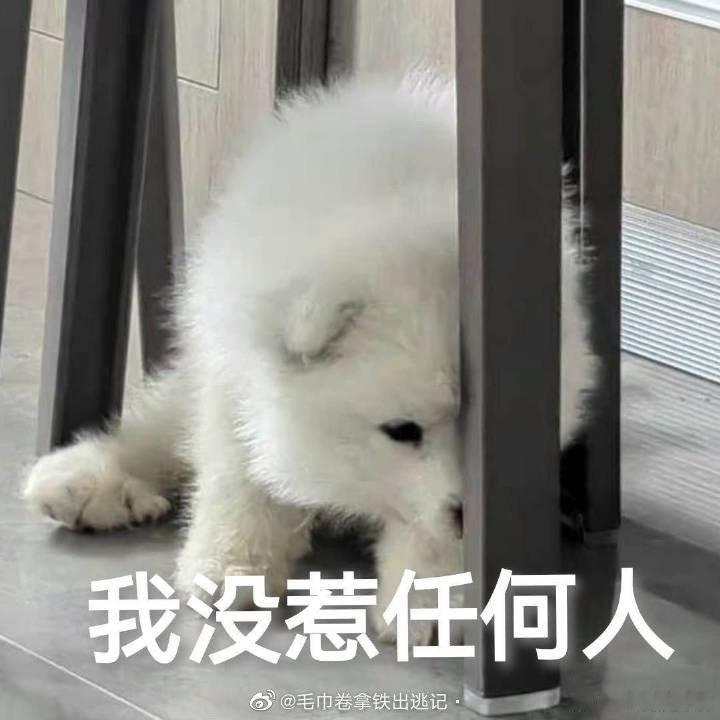 大吉胡咧咧 挟恩不图报57“片子看上去没什么大事，有点软组织挫伤，回去养养就好了