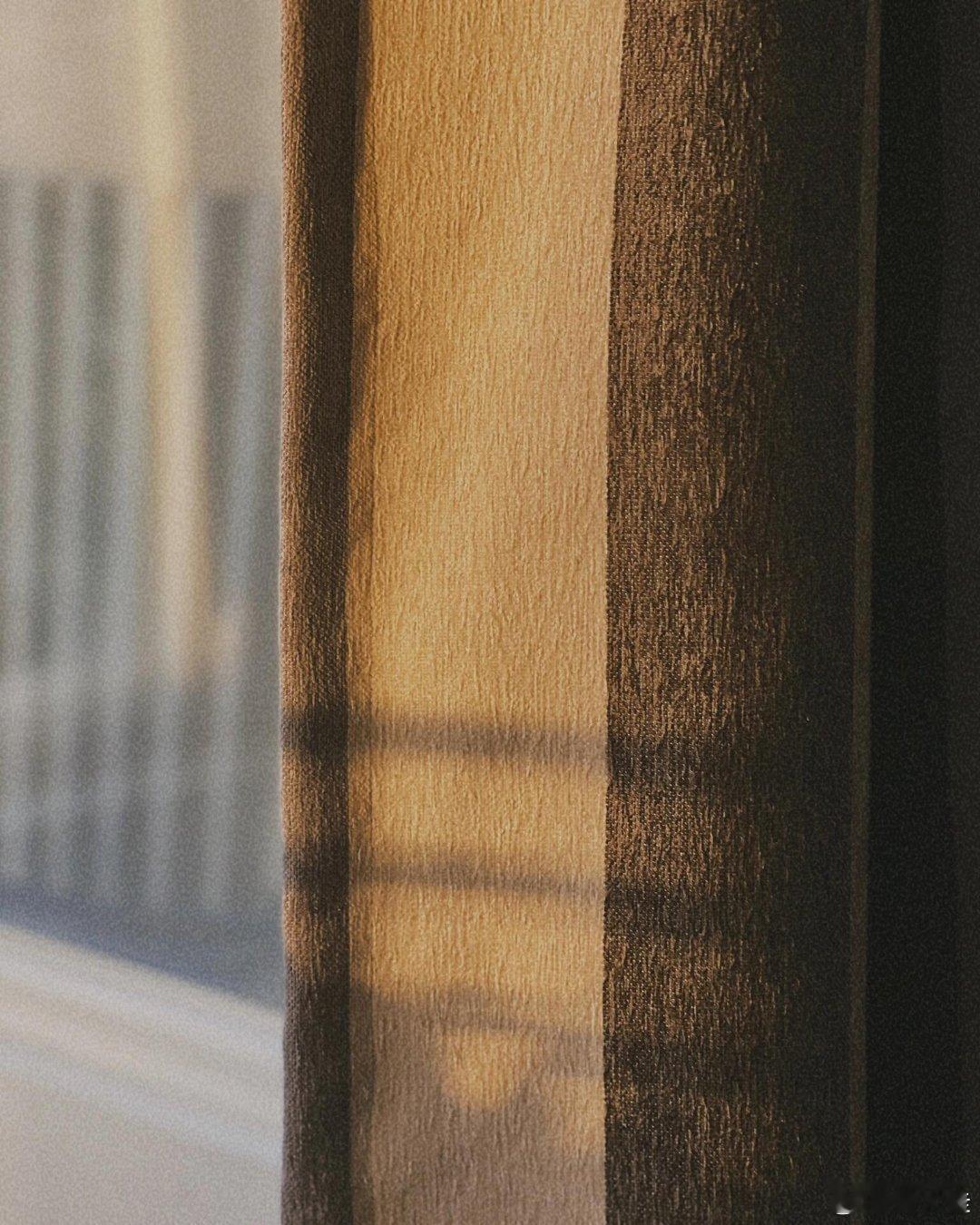 美是一种生命力的绽放，而非皮囊的堆砌”比起天生丽质的脸蛋，我永远为“活着的姿态”