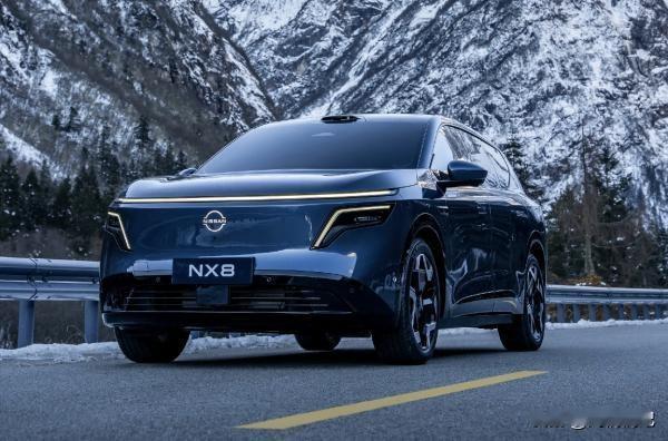 说真的，东风日产NX8这性价比，在15万级里真的挺能打，我跟大伙唠唠实在感受。