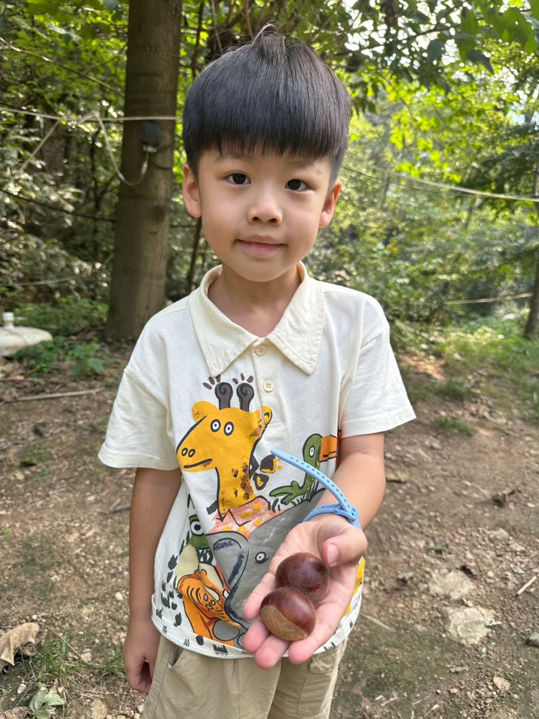 没有一个小朋友是不喜欢露营的吧？！🏕️