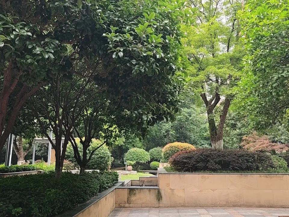 每一个中老年人的尽头都是保健品。
55岁之前，我对任何保健品都嗤之以鼻，认为那是