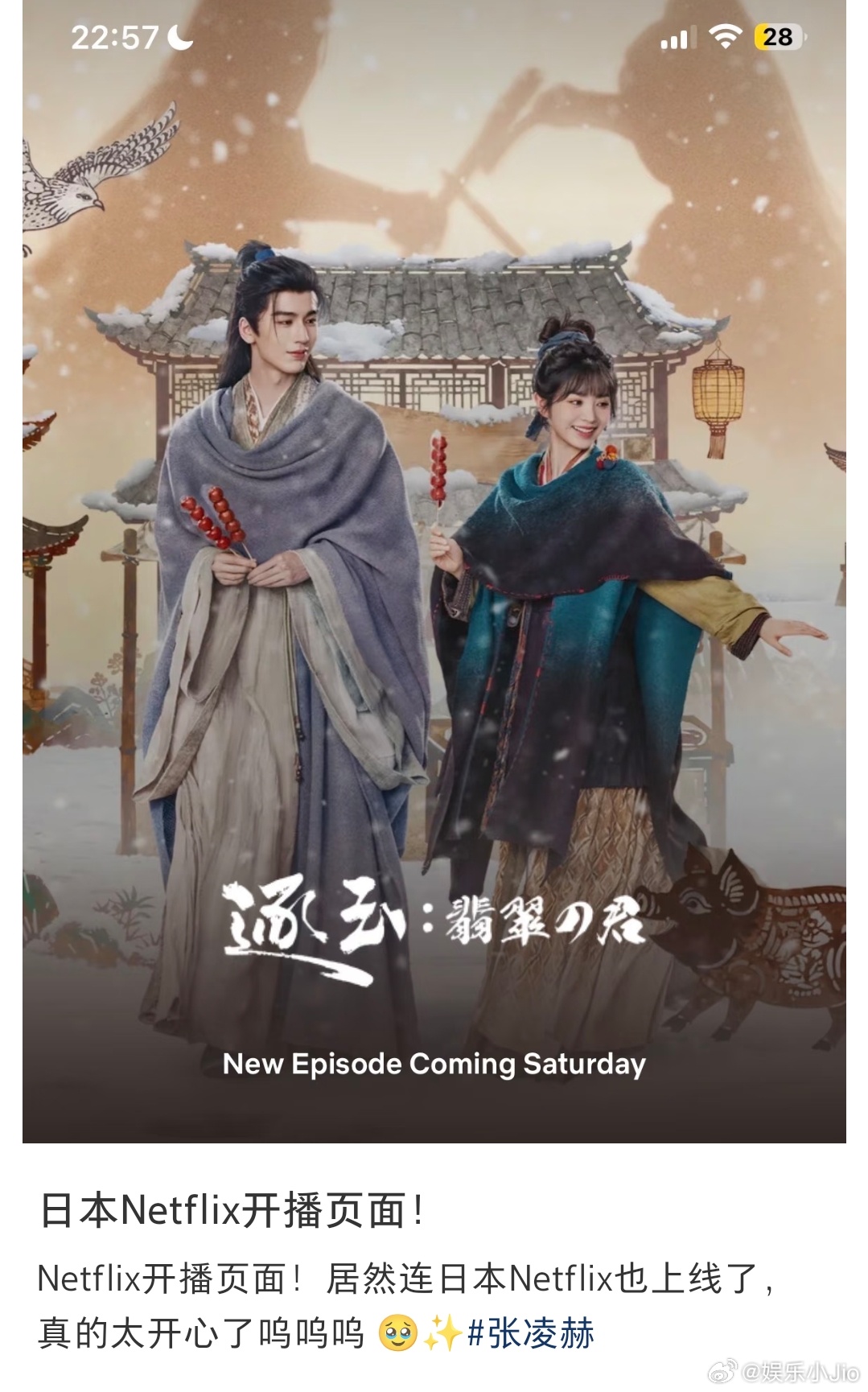 张凌赫田曦薇《逐玉》🇯🇵网飞上线时的名字叫《逐玉∶翡翠の君》，这名字真的很霓