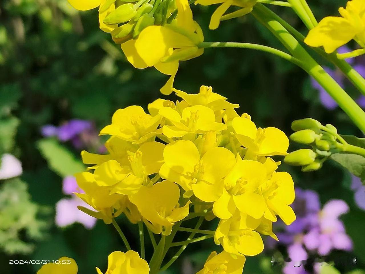 有没有发现一个奇怪的现象：越是说“高回报、高利息”的东西，最后坑的都是咱们普通老