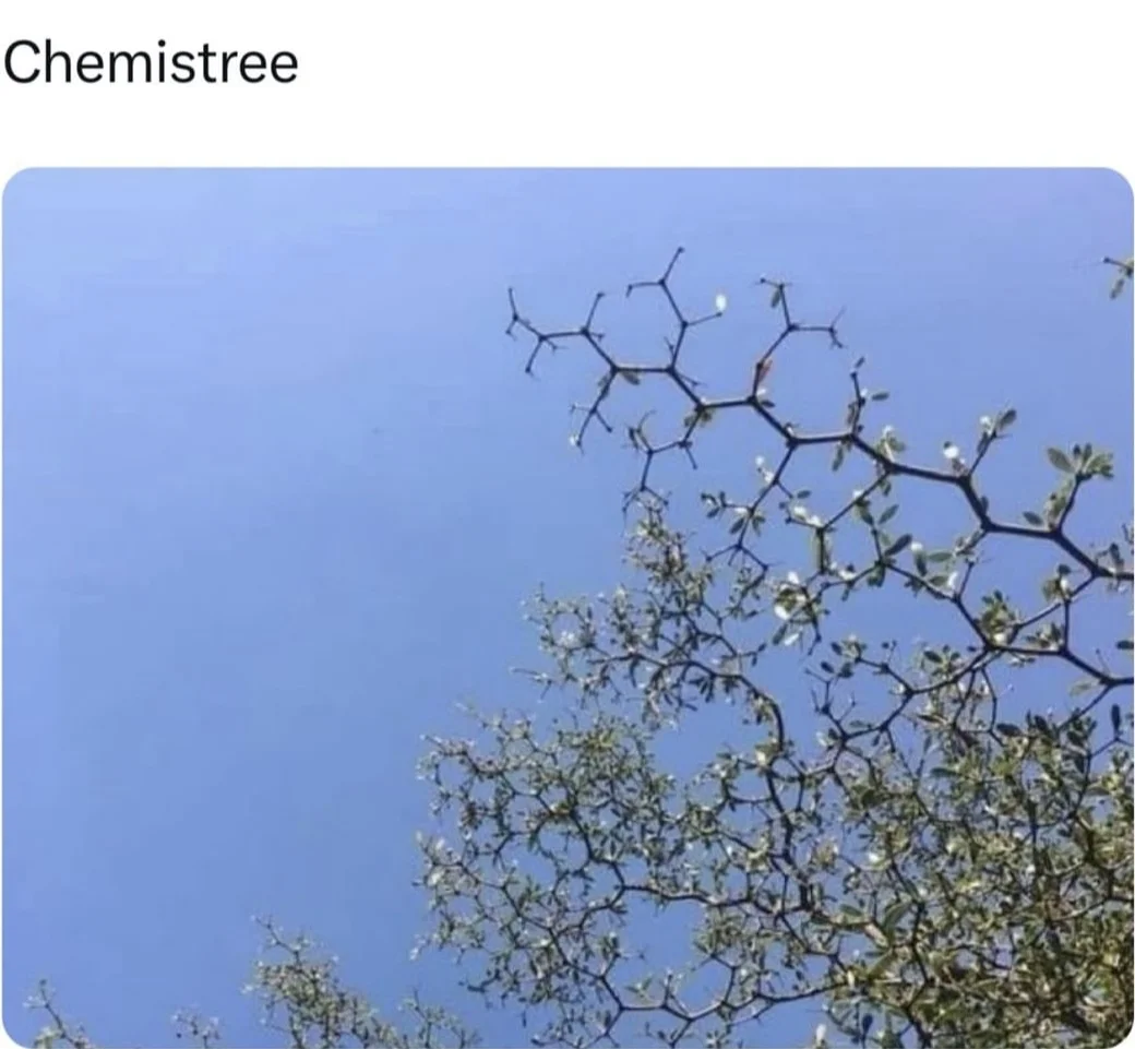 ⚛️理科生的梗图memes