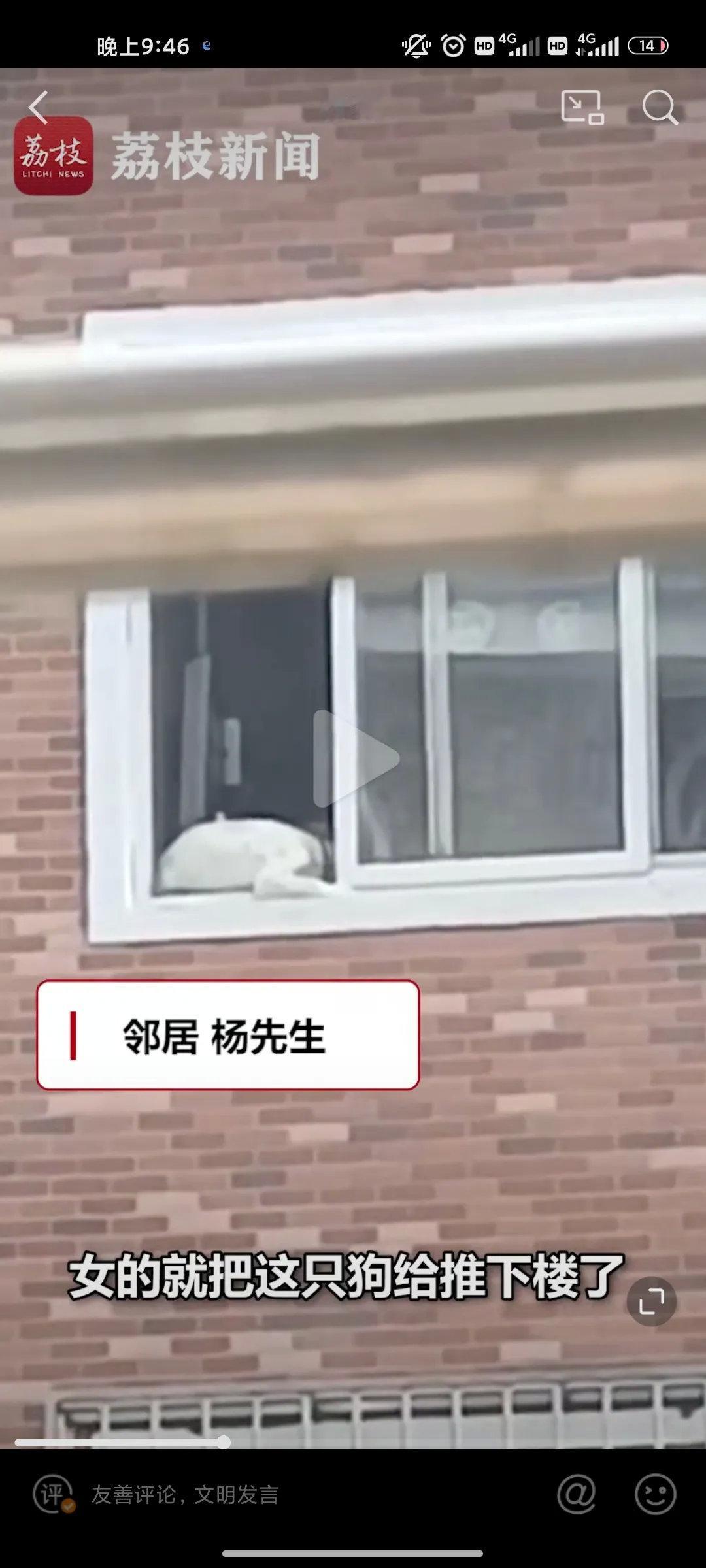 太气人了，吵架拿狗撒气！近日，北京一户居民疑似吵架，将家中拉布拉多狗从四楼窗户扔